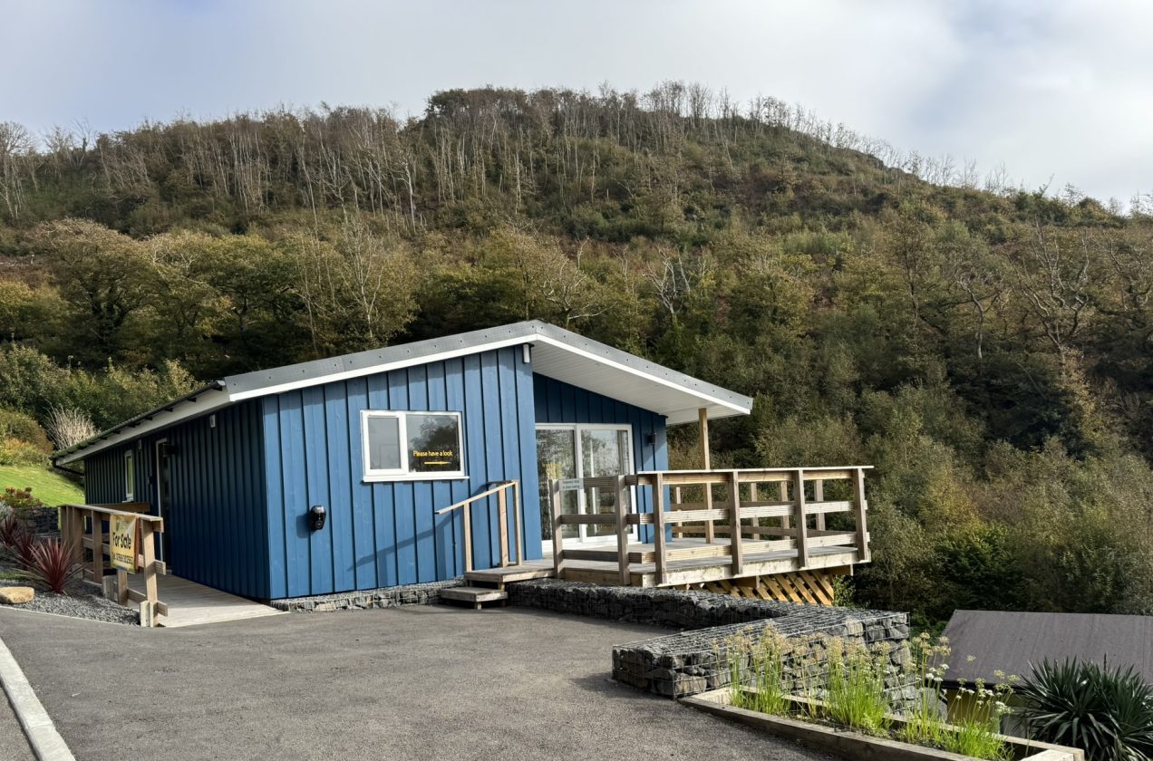 C2FFD5D9-5B44-4976-98E8-CF621305262E_1_102_o